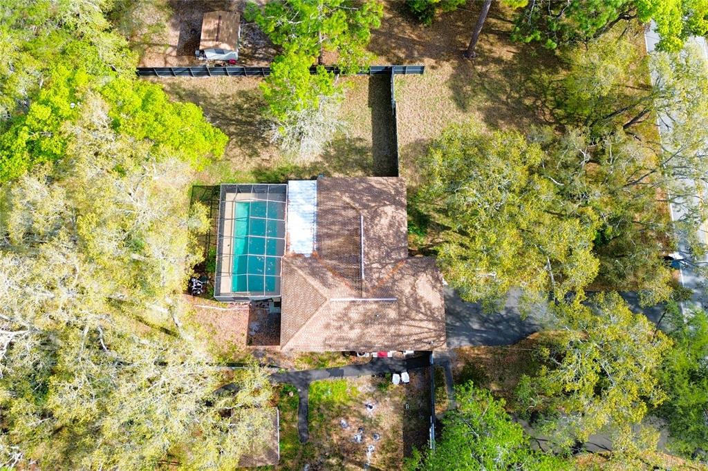 3201 Bartlett Street Spring Hill, FL 34606 - Photo 50 of 53