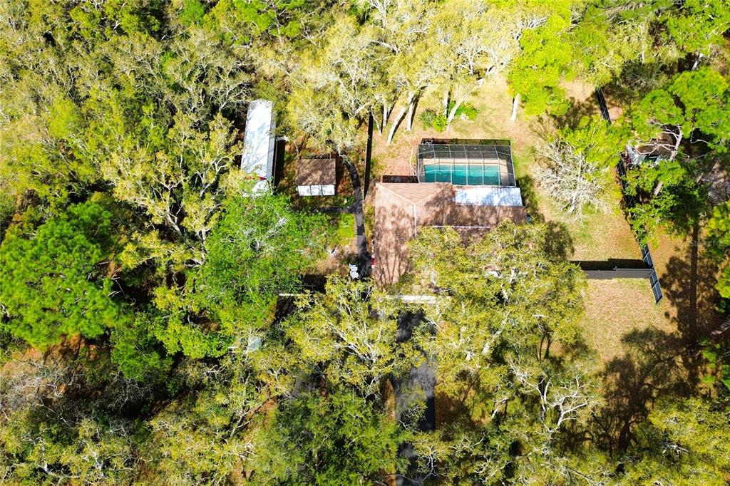 3201 Bartlett Street Spring Hill, FL 34606 - Photo 50 of 68
