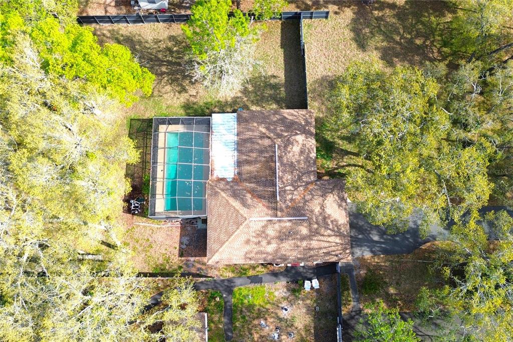 3201 Bartlett Street Spring Hill, FL 34606 - Photo 51 of 53