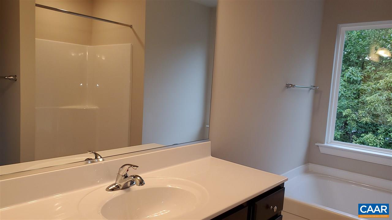 3 Axle Tree Road, Unit LOT 115/3 Palmyra, VA 22963 - Photo 13 of 33 Gallery Image 13