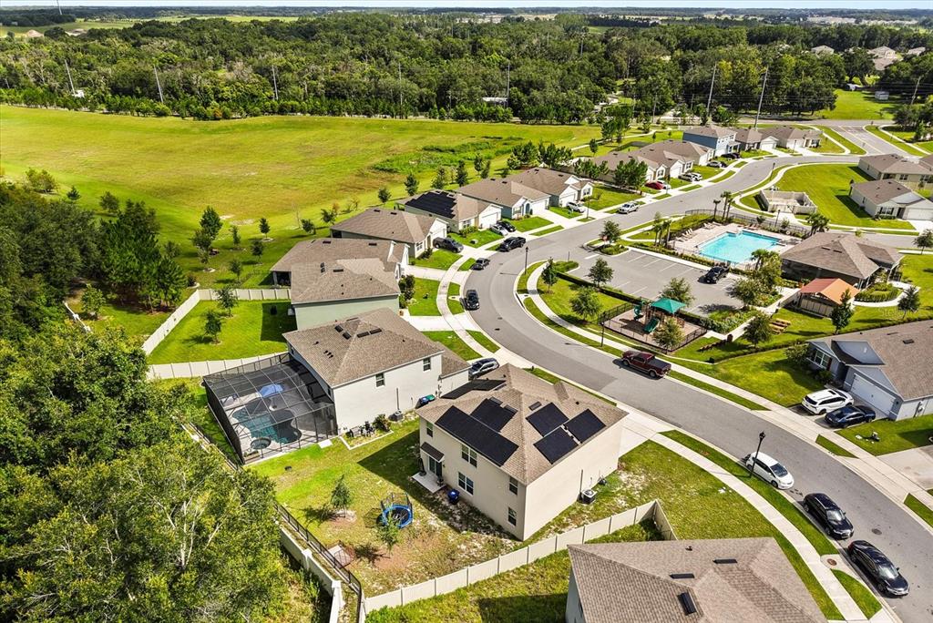 11237 Amber Ridge Drive Zellwood, FL 32798 - Photo 36 of 37