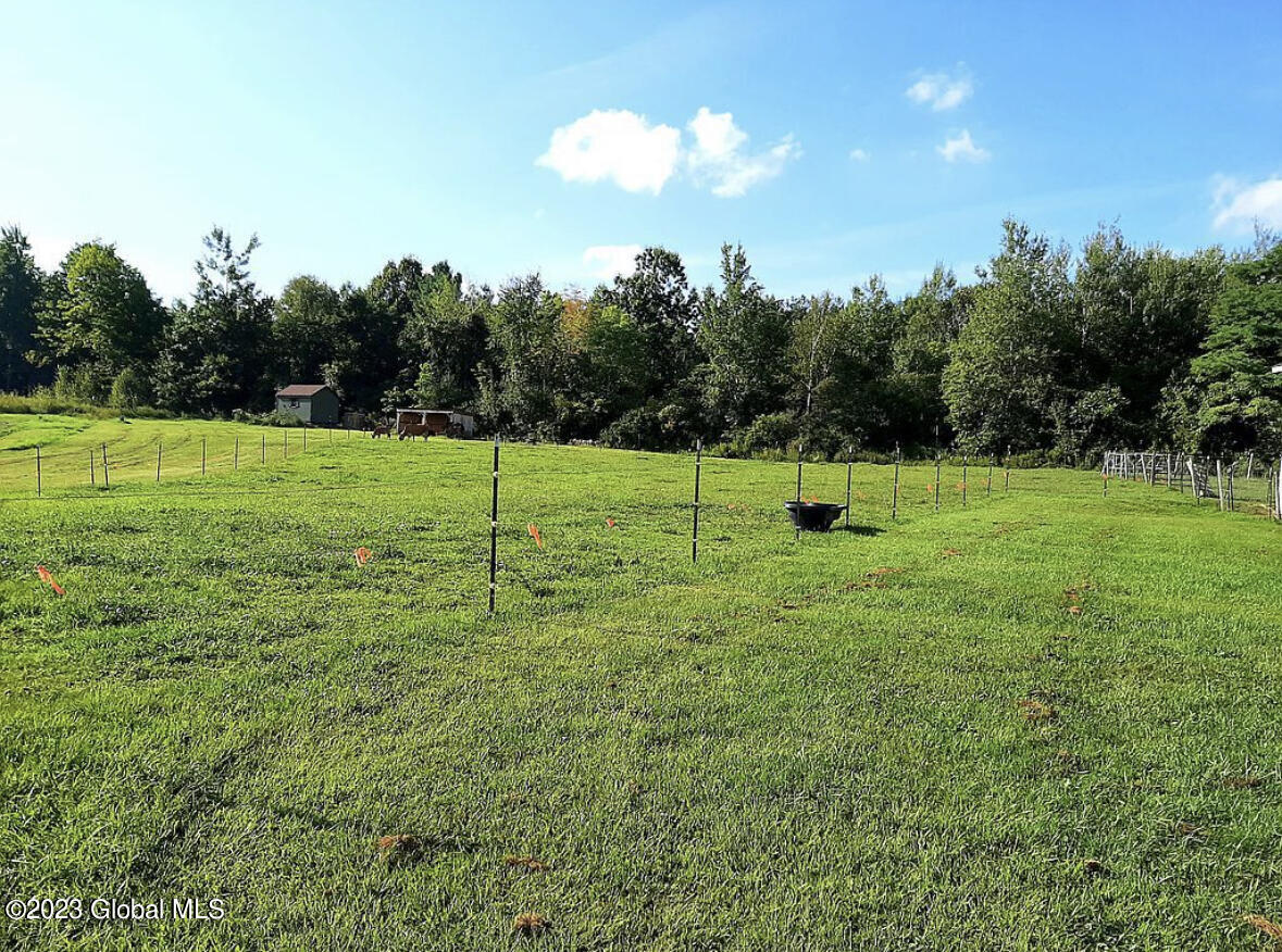551 Delevan Road Delanson, NY 12053 - Photo 27 of 41 IMG_2338