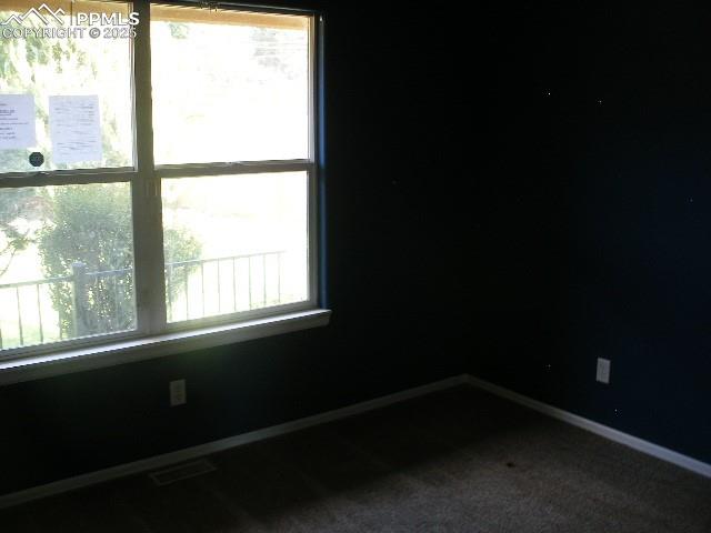 3591 Indigo Ridge Point Colorado Springs, CO 80910 - Photo 29 of 40 Gallery Image 29