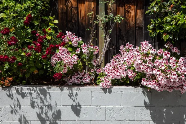 $1,895,000 | 1802 Alameda De Las Pulgas, Redwood City, CA 94061