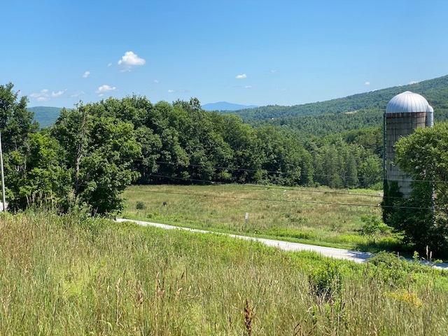 230 Mountain View Road Tinmouth, VT 05757 - Photo 2 of 20 Gallery Image 2