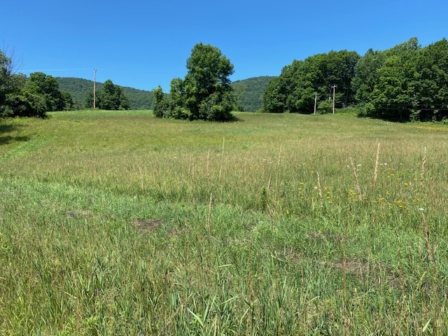 230 Mountain View Road Tinmouth, VT 05757 - Photo 4 of 20 Gallery Image 4