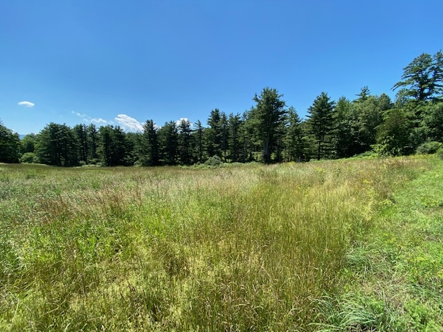 230 Mountain View Road Tinmouth, VT 05757 - Photo 6 of 20 Gallery Image 6