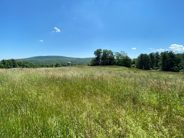 230 Mountain View Road Tinmouth, VT 05757 - Photo 7 of 20 Gallery Image 7