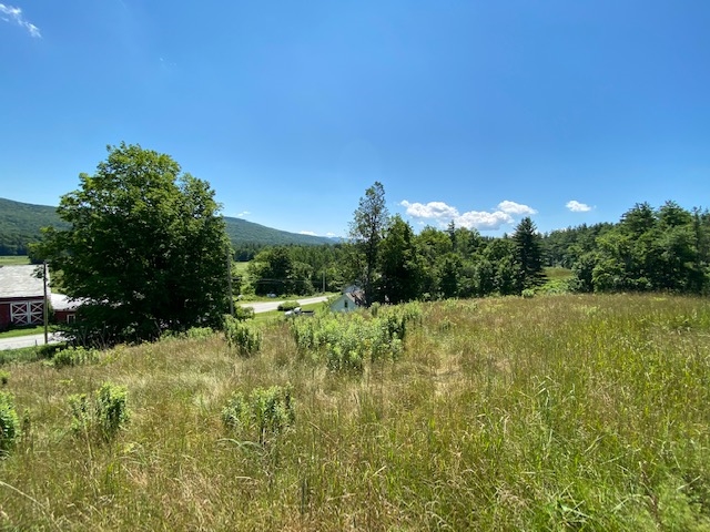 230 Mountain View Road Tinmouth, VT 05757 - Photo 10 of 20 Gallery Image 10