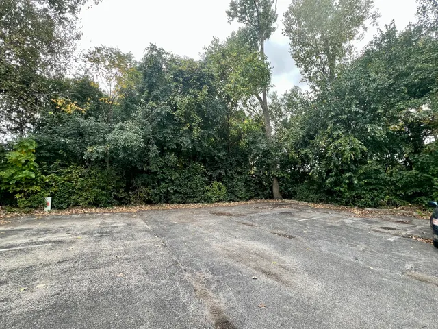 a view of outdoor space and yard