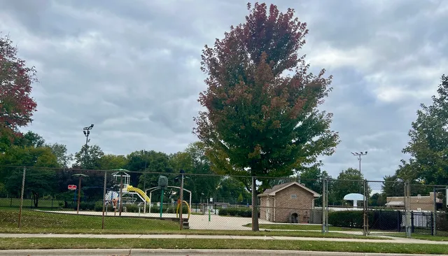 a view of a trees in front of a house