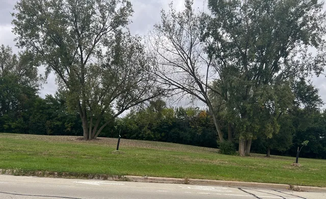 $98,500 | 12026 South Kildare Avenue, Unit 16, Alsip, IL 60803