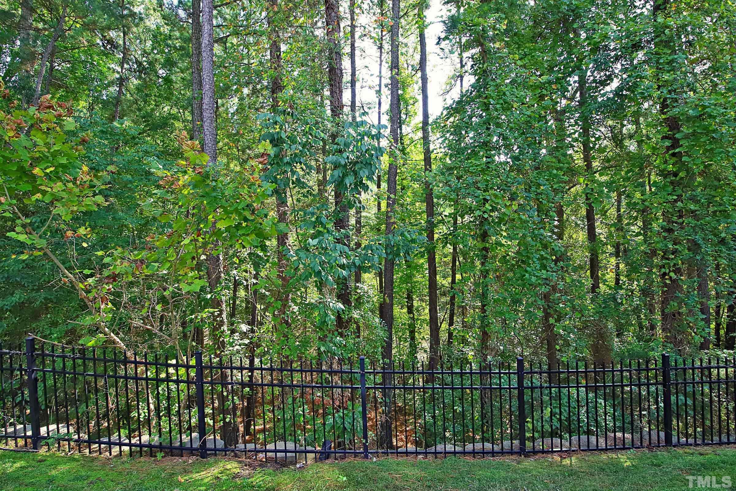 3118 Binghampton Lane Raleigh, NC 27604 - Photo 26 of 27 a view of a park