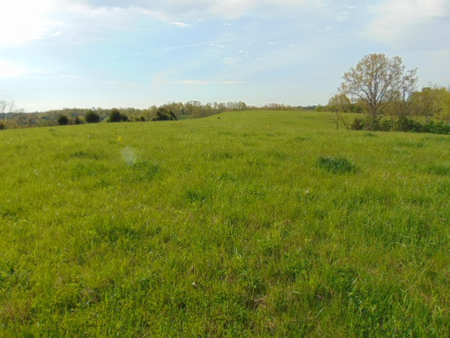 Cull Road Worthville, KY 41098 - Photo 6 of 29 Gallery Image 6