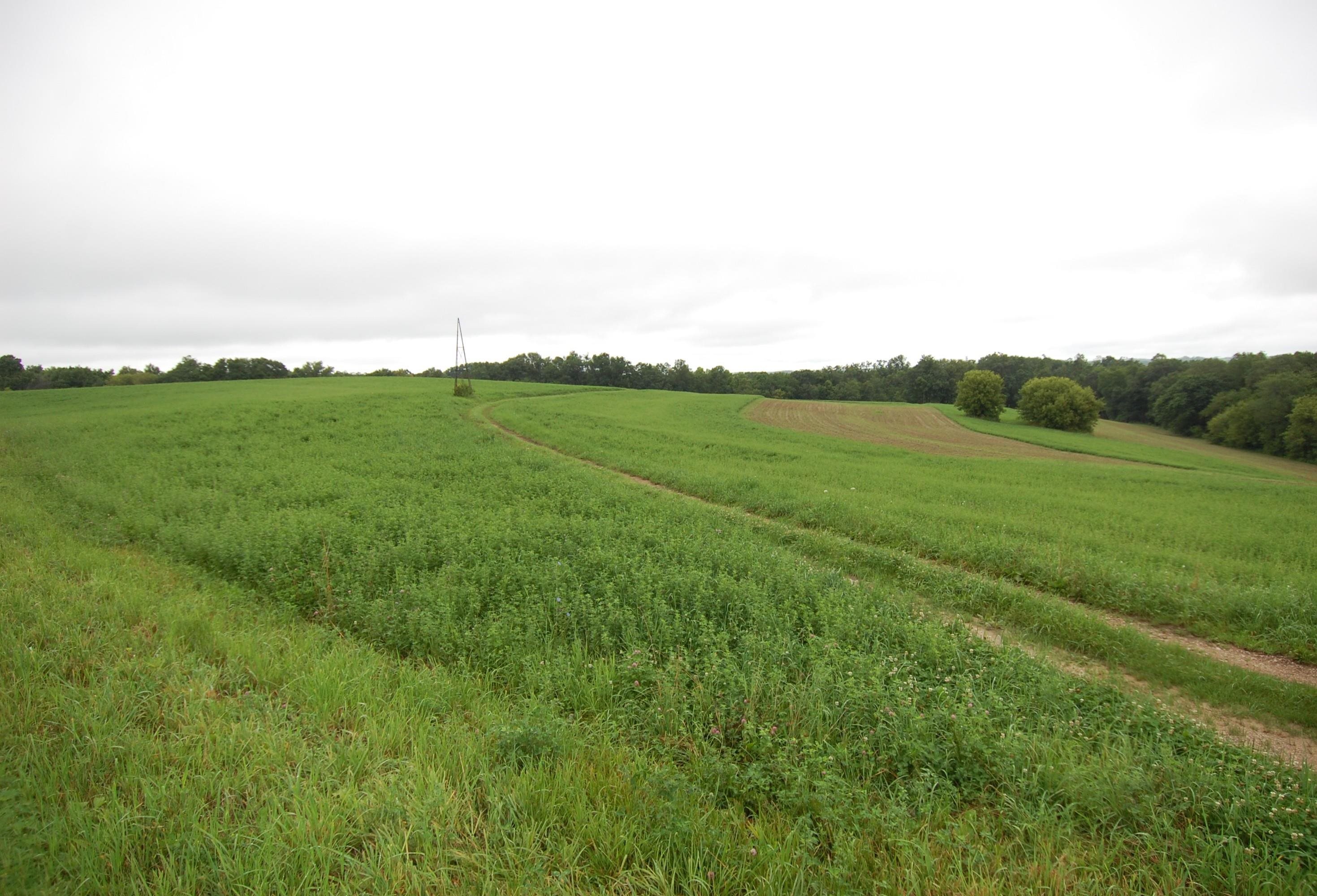 999 Halverson Ridge Soldiers Grove, WI 54655 - Photo 5 of 8