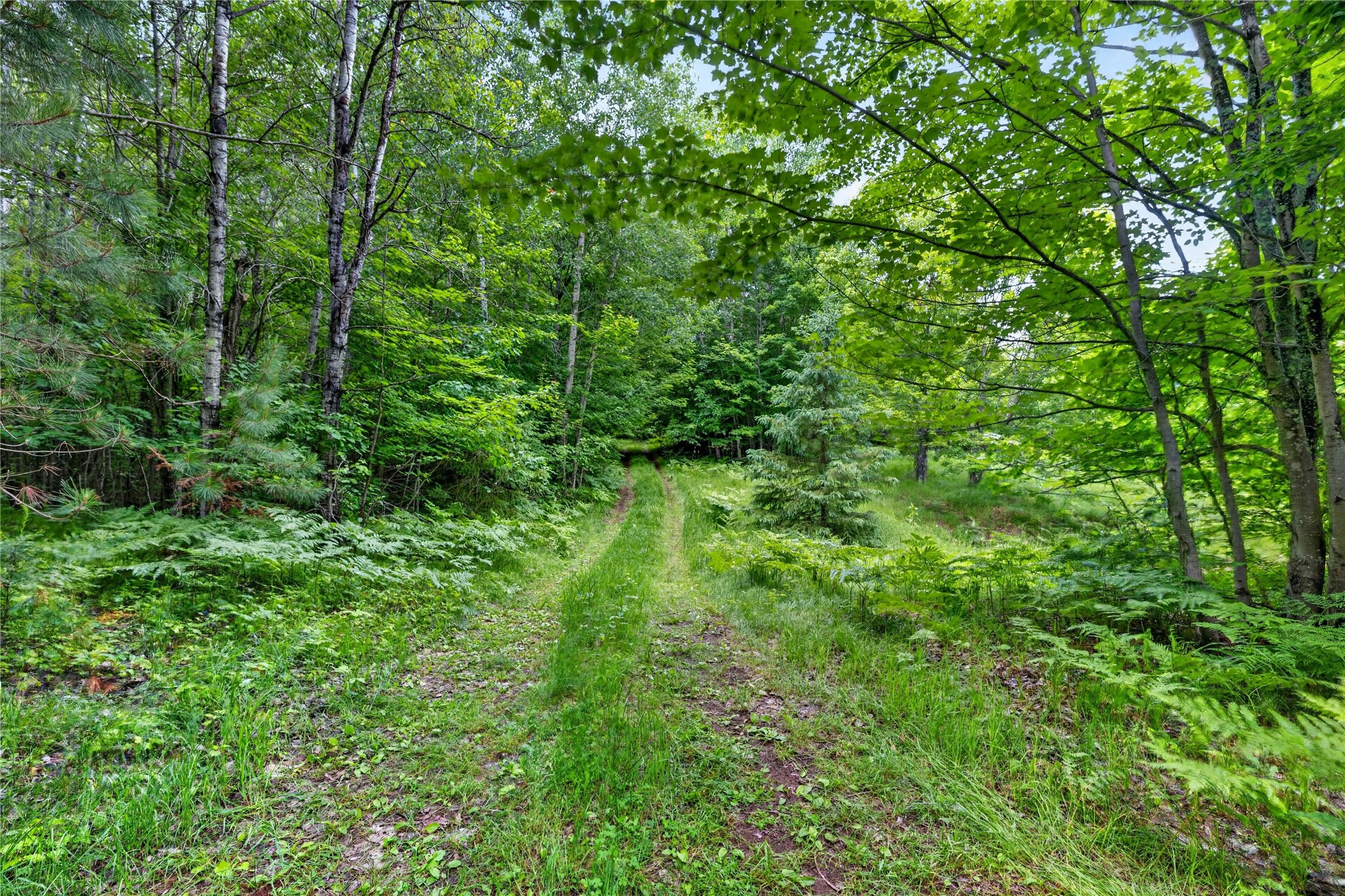 5590 Snowshoe Road Solon Springs, WI 54873 - Photo 39 of 49