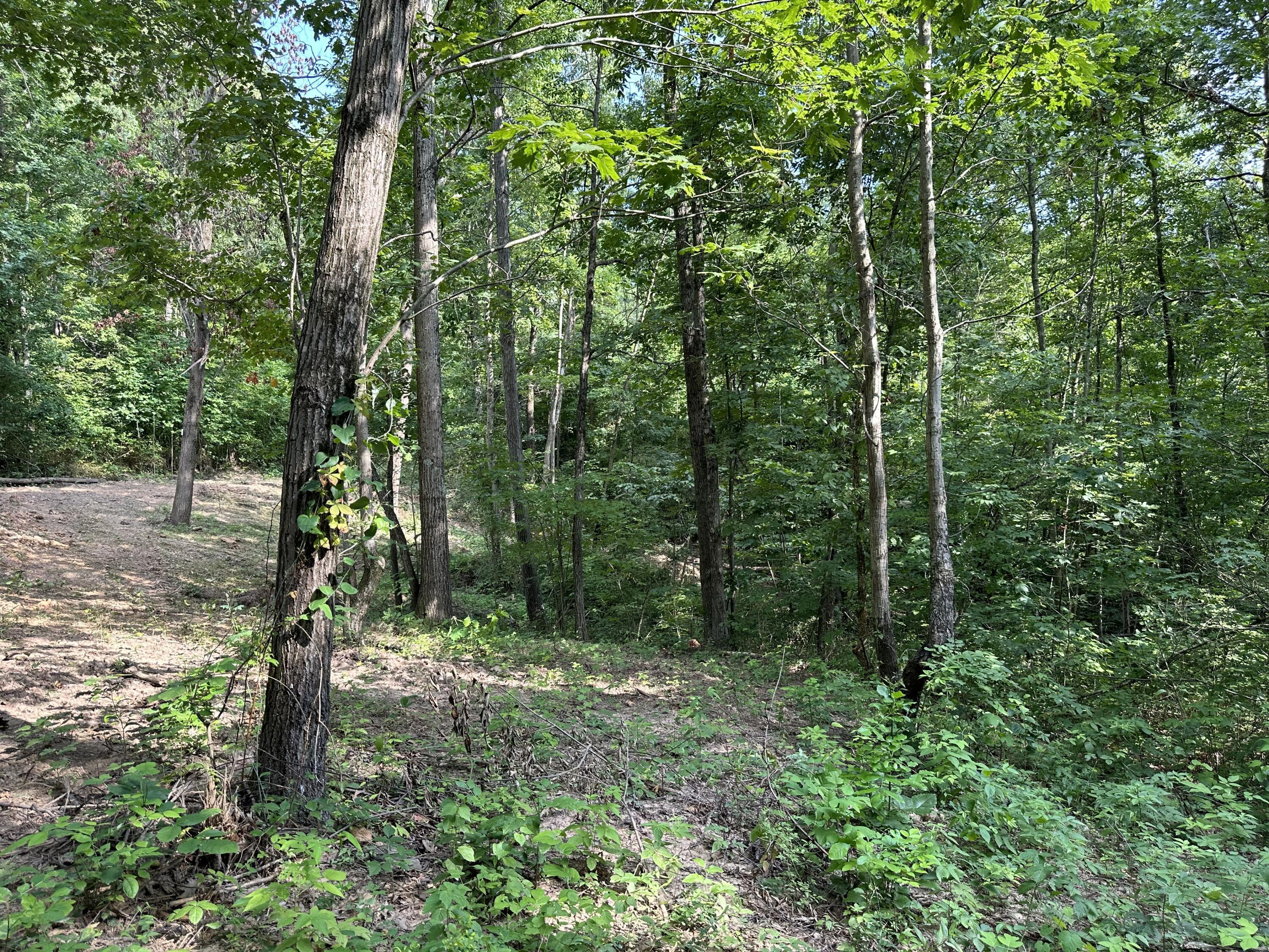 6690 Old State Road, Unit PERRY RIDGE TRACT 6) Crooksville, OH 43731 - Photo 28 of 36 20230804_211759576_iOS