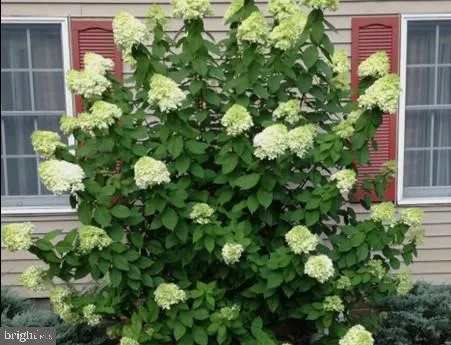 $485,000 | 5474 Royal Mile Boulevard, Salisbury, MD 21801