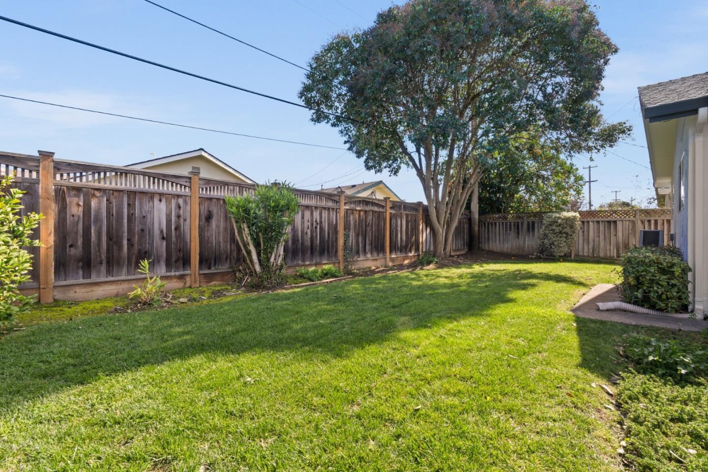 1332 Poe Lane San Jose, CA 95130 - Photo 27 of 32 a view of a house with backyard and a tree