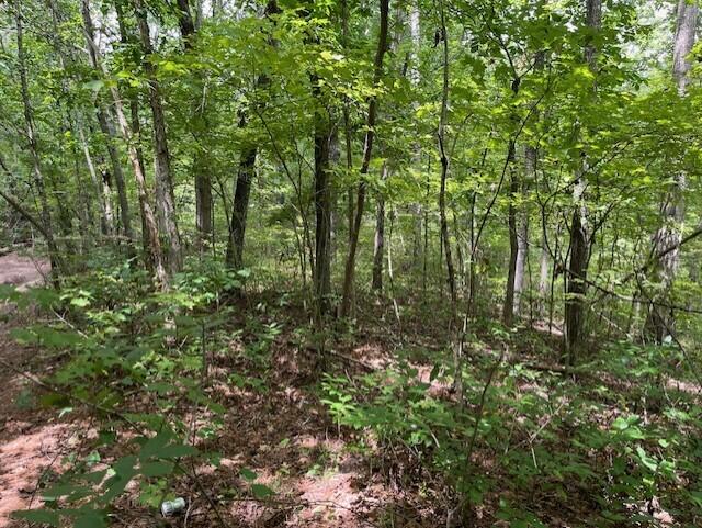 123 Retro Hughes Road Graysville, TN 37338 - Photo 23 of 26 23