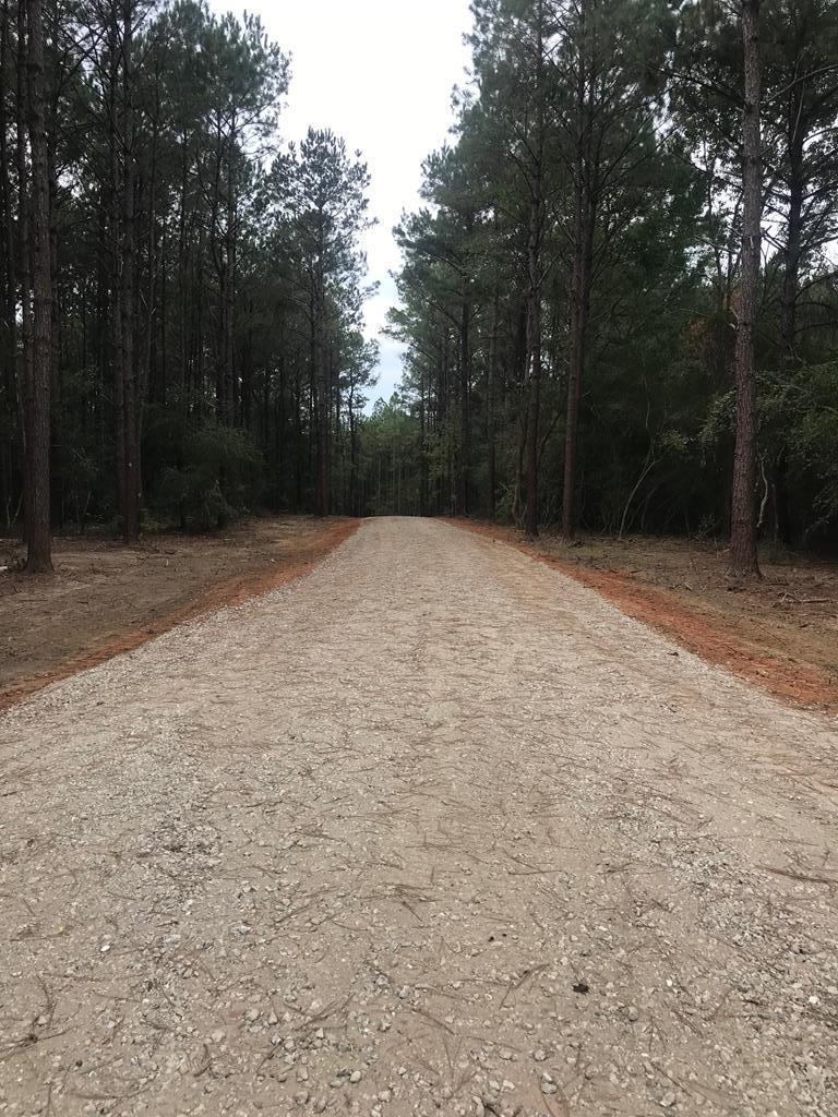 0 Tract Road Carriere, MS 39426 - Photo 1 of 1 Main View