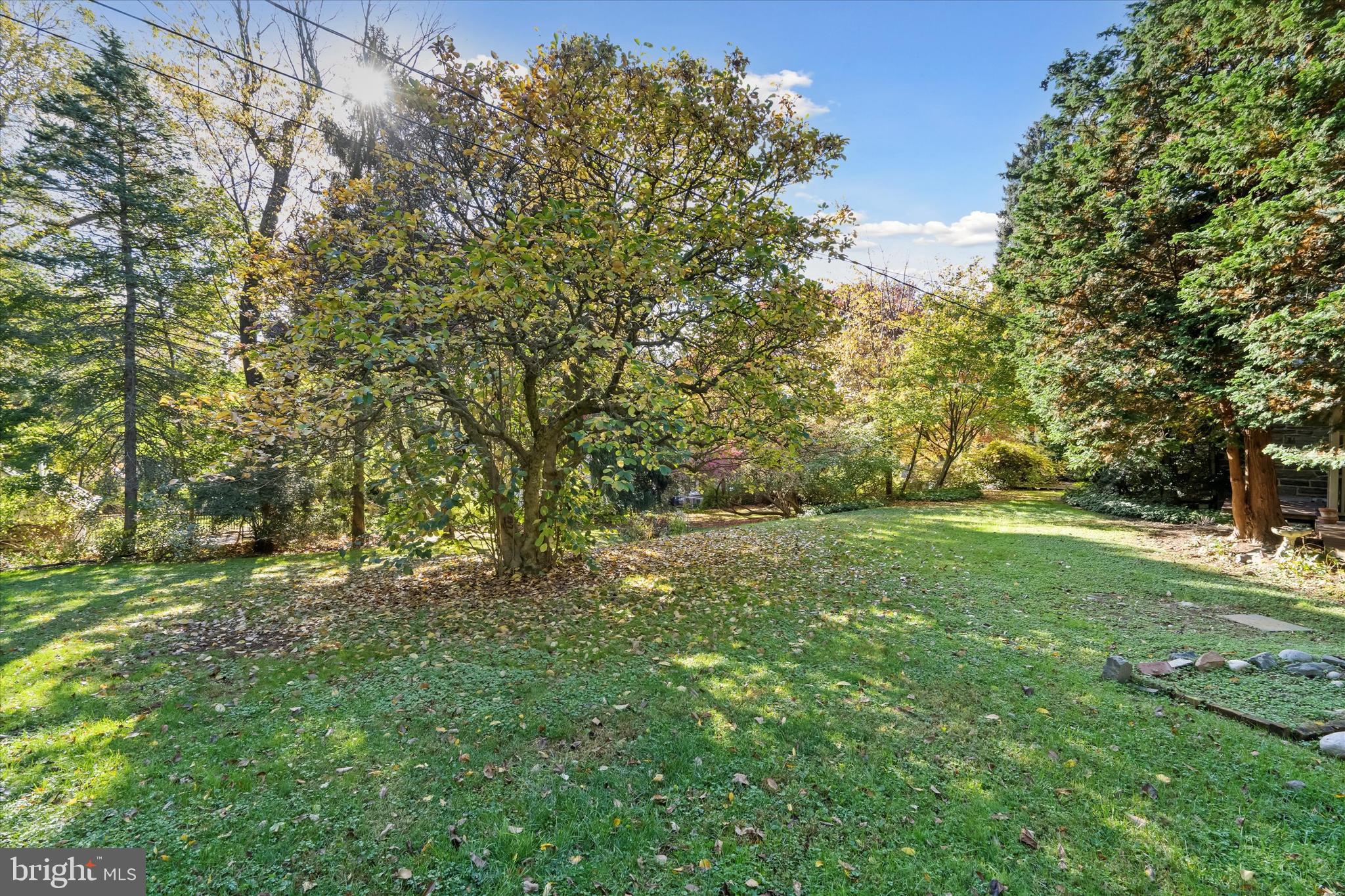 1257 Lenox Road Jenkintown, PA 19046 - Photo 52 of 60 Gallery Image 52
