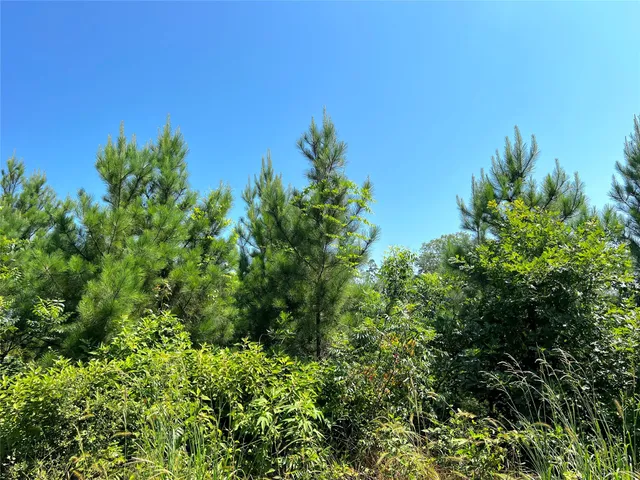 $56,000 | 6 West Carters Ferry Road, Milam, TX 75959