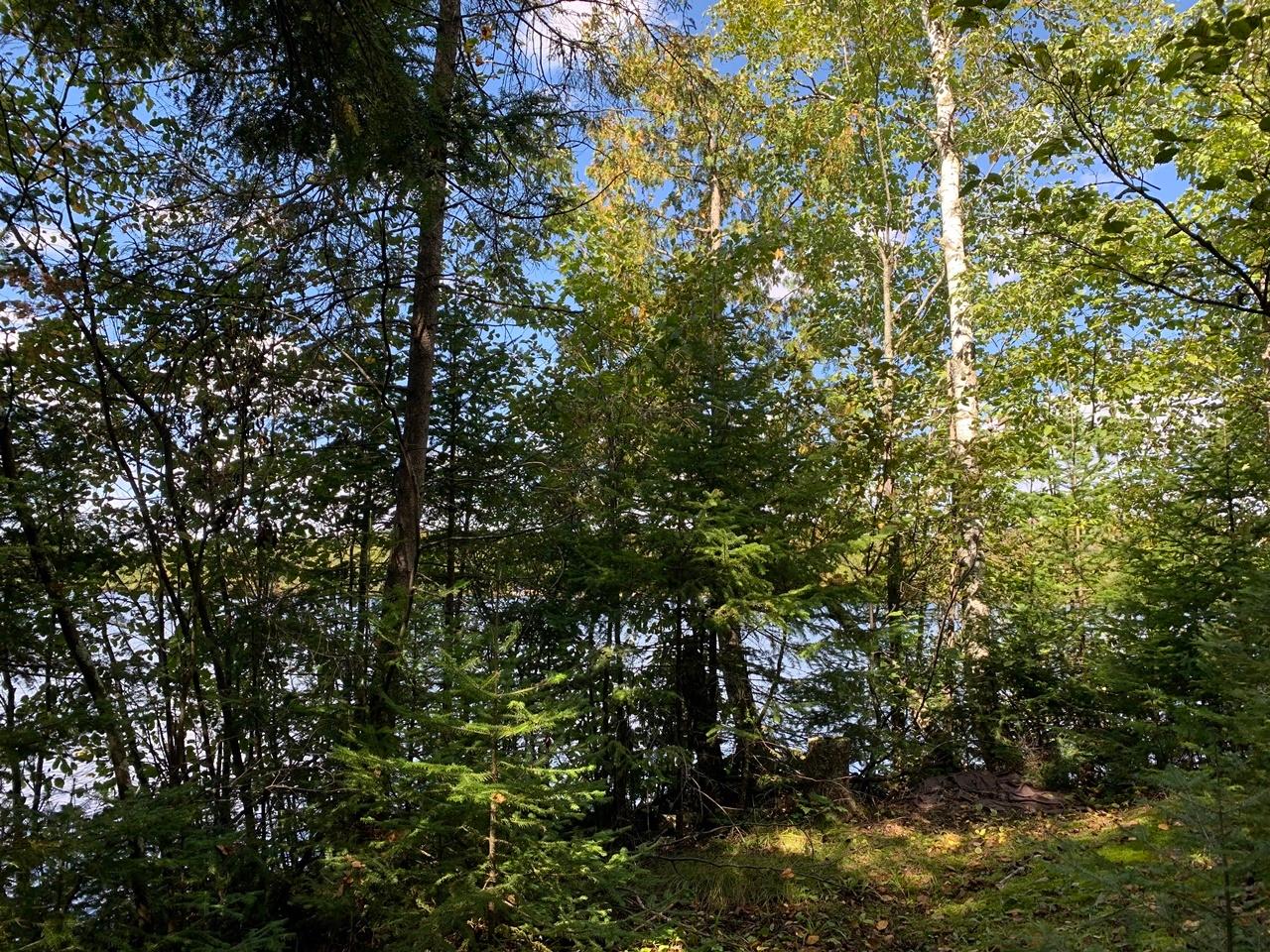 1590 Double Ee Road Park Falls, WI 54552 - Photo 39 of 46 Gallery Image 39