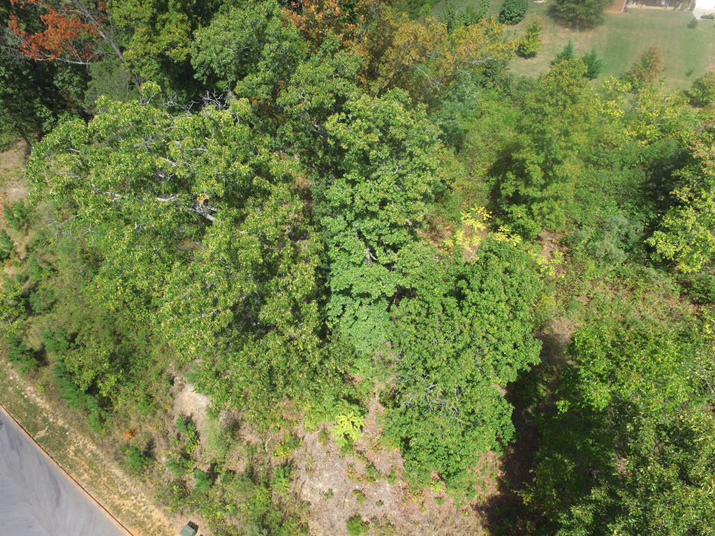 Lot 18 Aidans Trail Rutledge, TN 37861 - Photo 11 of 28 12