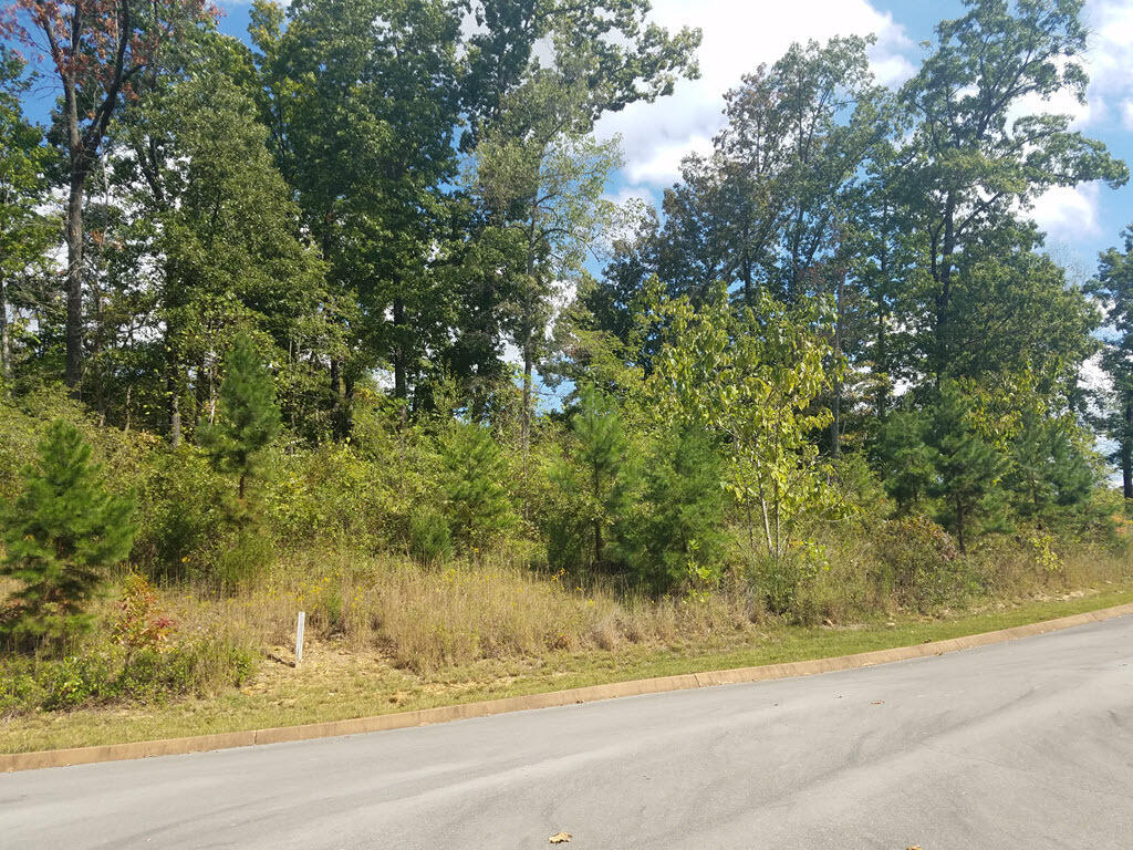 Lot 18 Aidans Trail Rutledge, TN 37861 - Photo 13 of 28 14