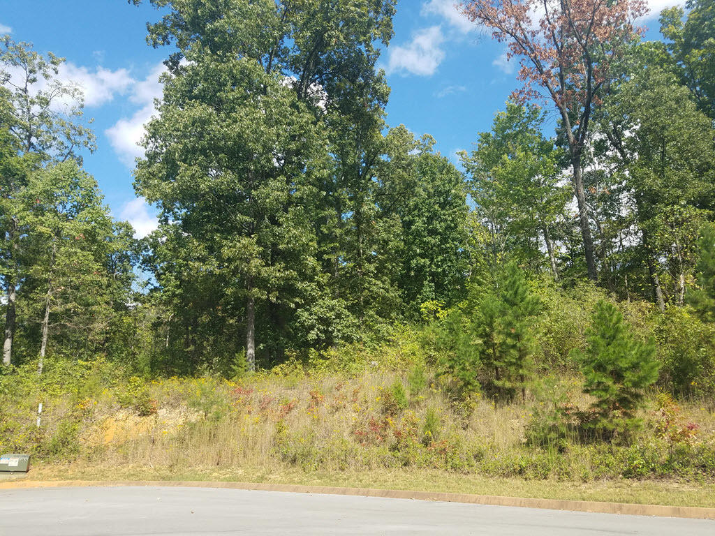 Lot 18 Aidans Trail Rutledge, TN 37861 - Photo 14 of 28 15