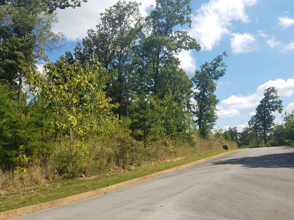 Lot 18 Aidans Trail Rutledge, TN 37861 - Photo 15 of 28 16