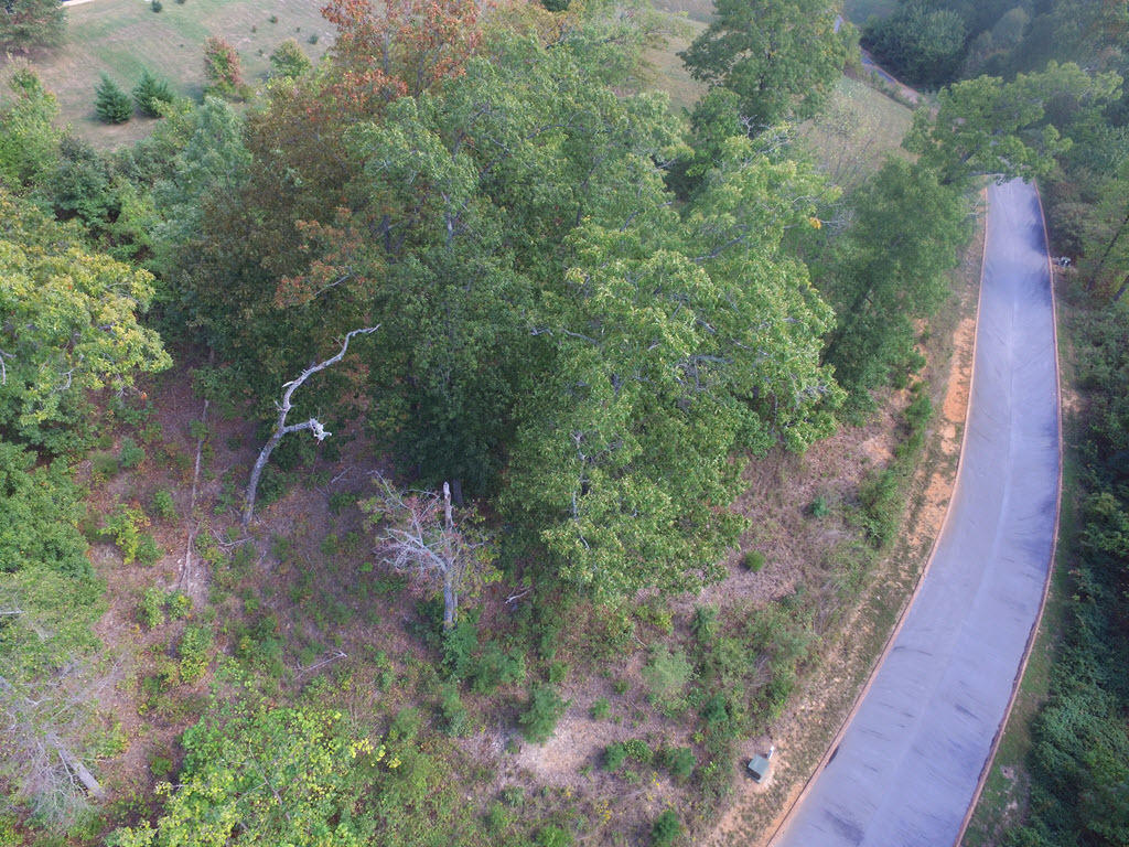 Lot 18 Aidans Trail Rutledge, TN 37861 - Photo 7 of 28 8
