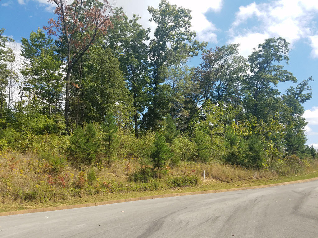 Lot 18 Aidans Trail Rutledge, TN 37861 - Photo 8 of 28 9