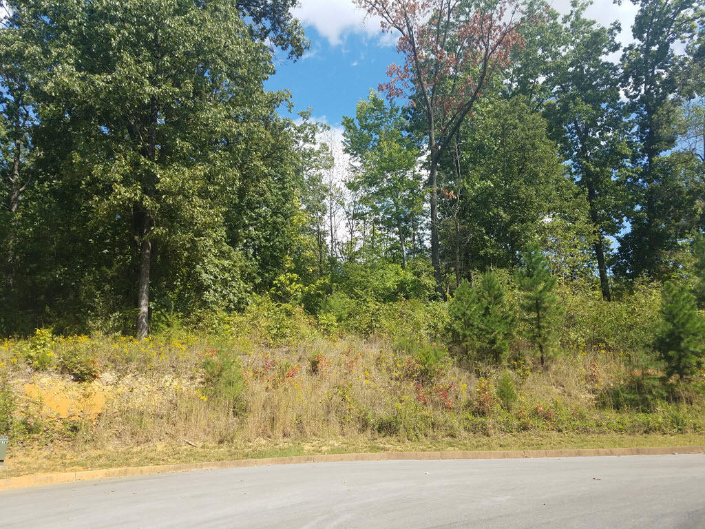 Lot 18 Aidans Trail Rutledge, TN 37861 - Photo 10 of 28 11