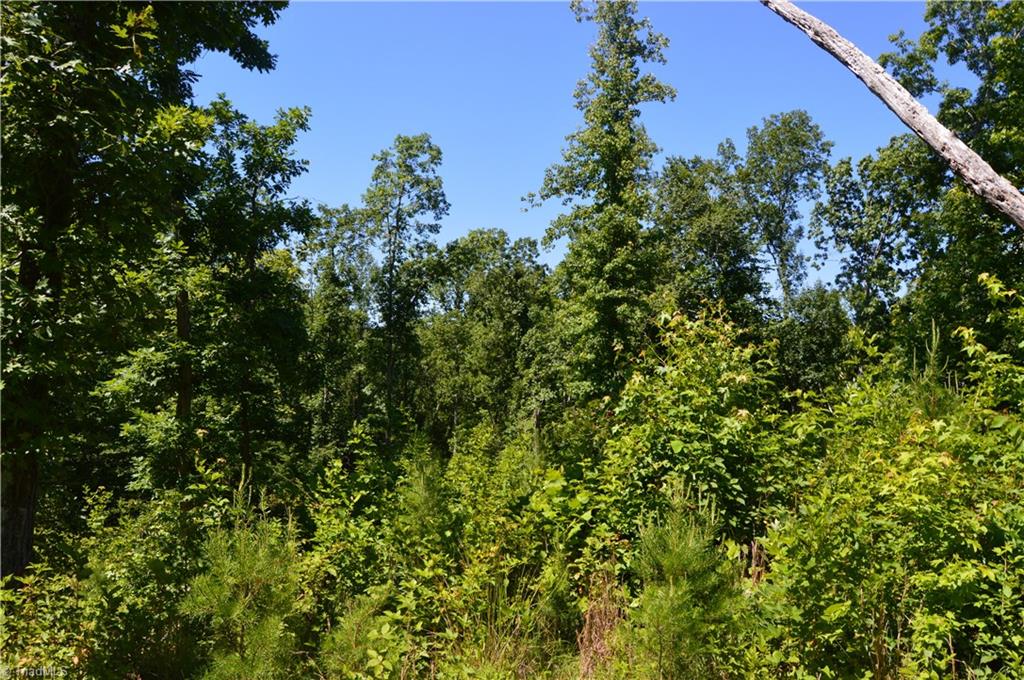 0 Quick Road Ruffin, NC 27326 - Photo 11 of 18 Gallery Image 11