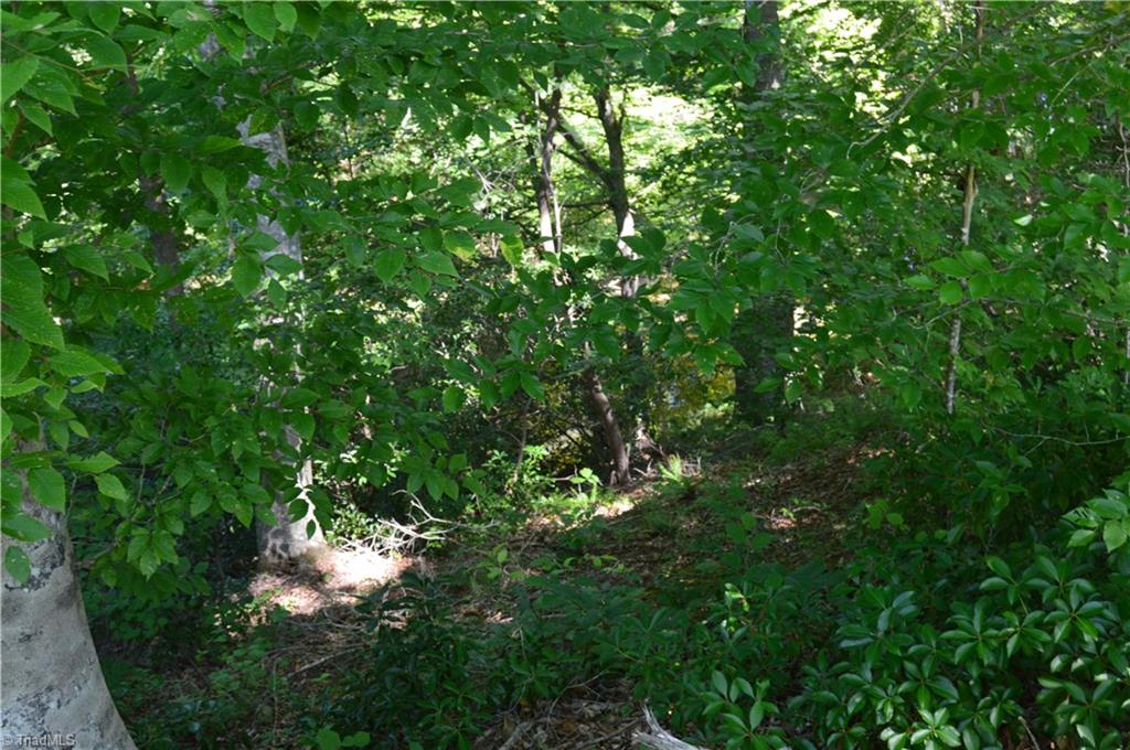 0 Quick Road Ruffin, NC 27326 - Photo 14 of 18 Gallery Image 14