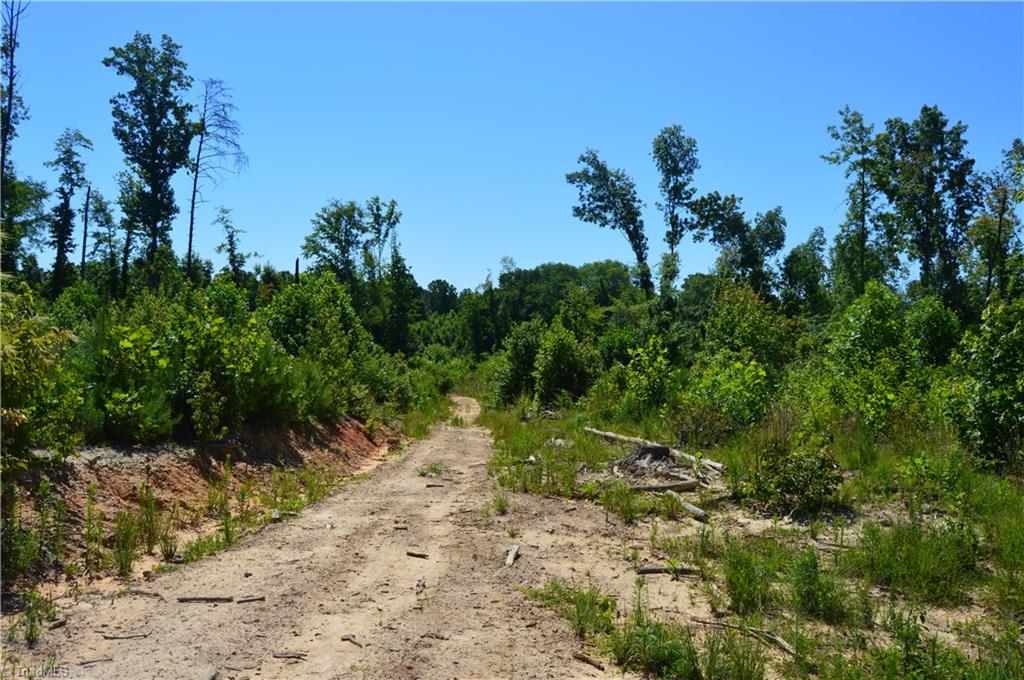 0 Quick Road Ruffin, NC 27326 - Photo 7 of 18 Gallery Image 7