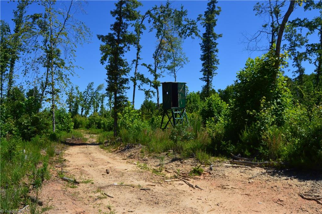 0 Quick Road Ruffin, NC 27326 - Photo 9 of 18 Gallery Image 9