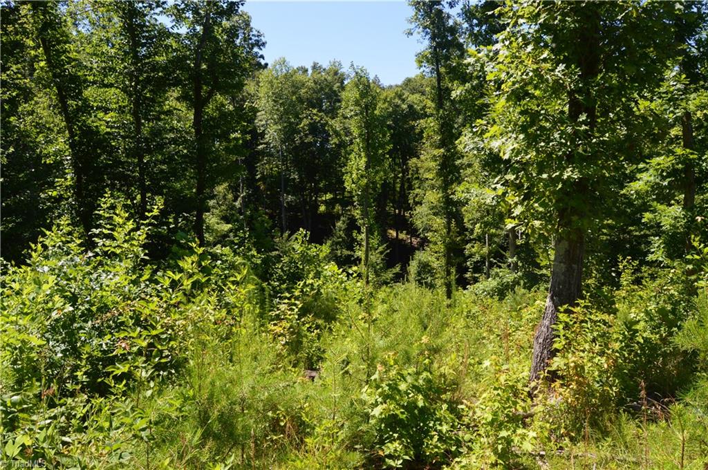 0 Quick Road Ruffin, NC 27326 - Photo 10 of 18 Gallery Image 10