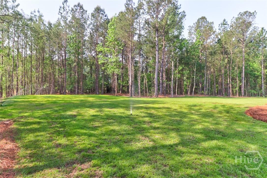 100 Robert's Road Springfield, GA 31329 - Photo 50 of 54