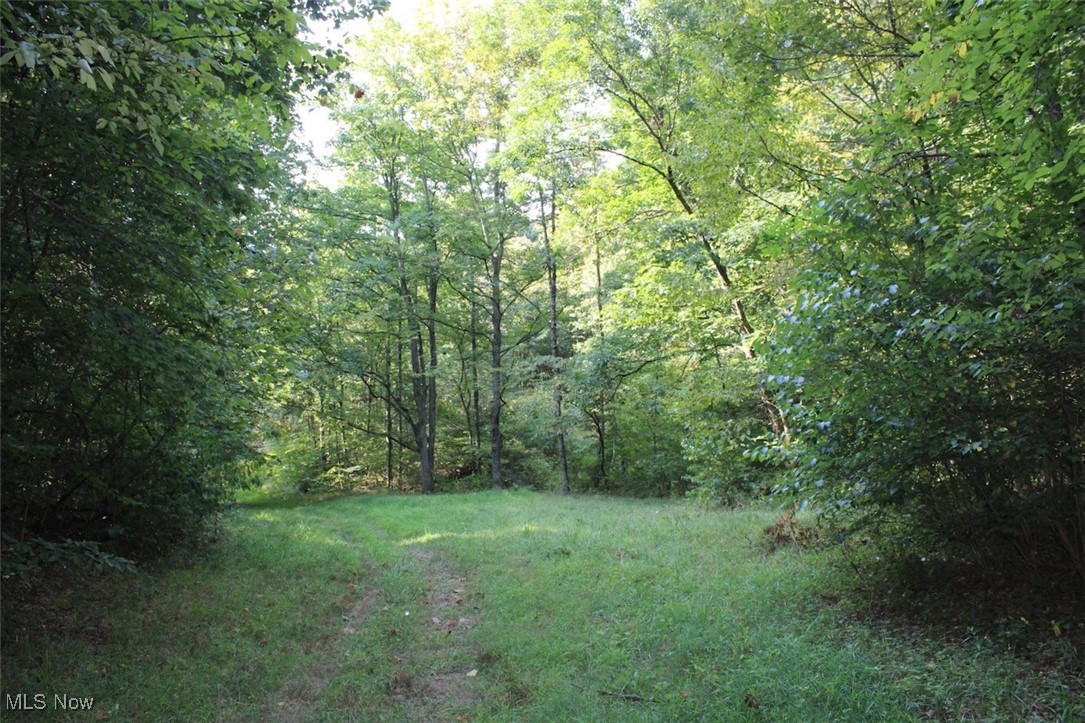 Leffler Road Roseville, OH 43777 - Photo 28 of 49 View of yard