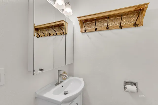 a view of a yard with plants