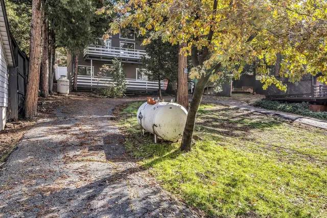 a view of street with large trees