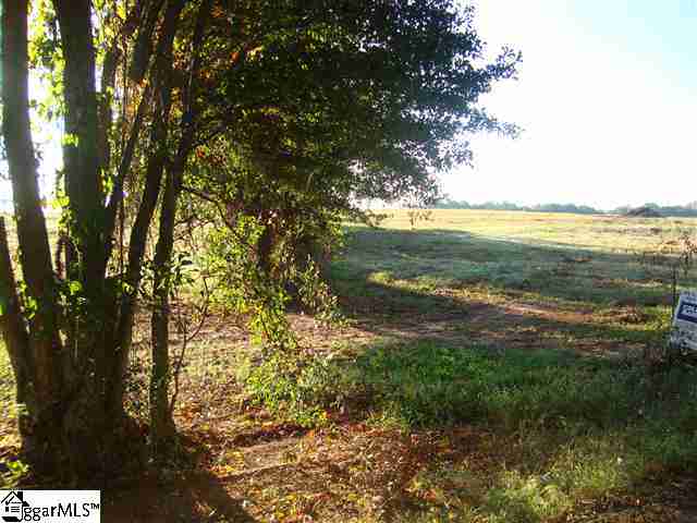 0 Wilson Road Anderson, SC 29621 - Photo 2 of 3