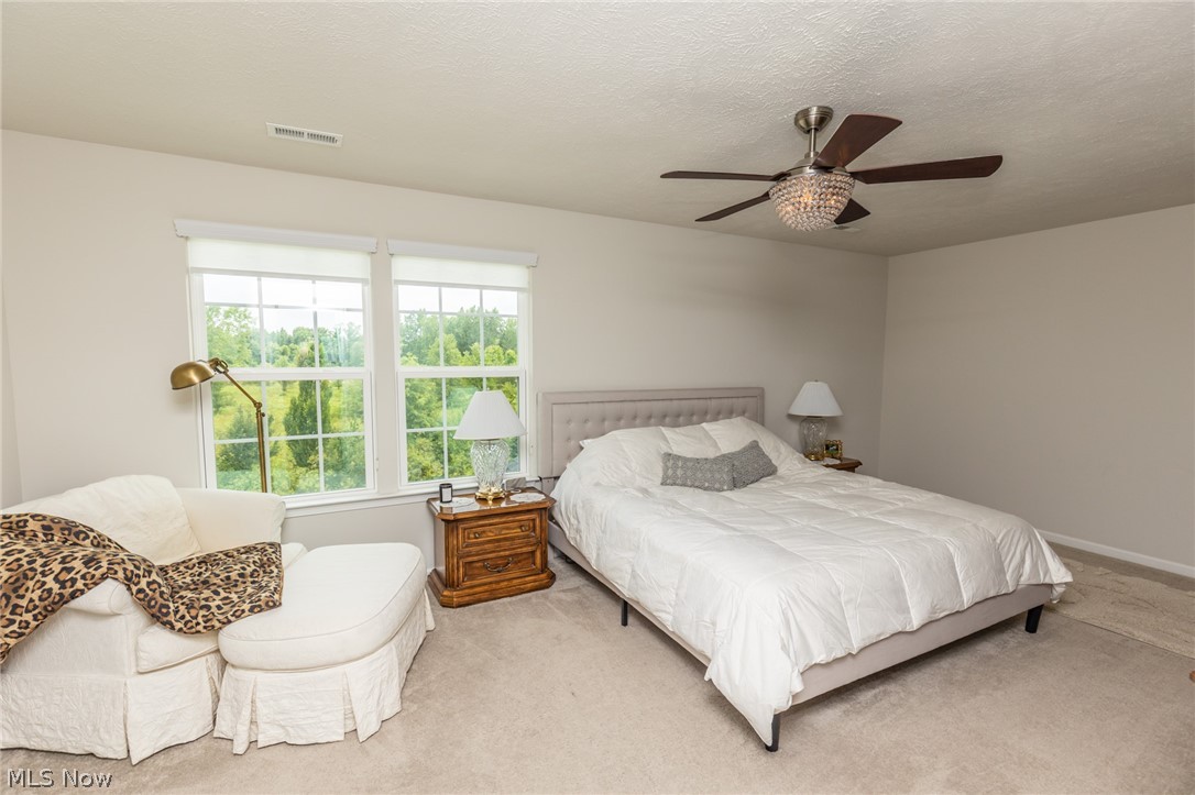 240 Stone Ridge Way Berea, OH 44017 - Photo 20 of 35 Main Bedroom Second Floor
