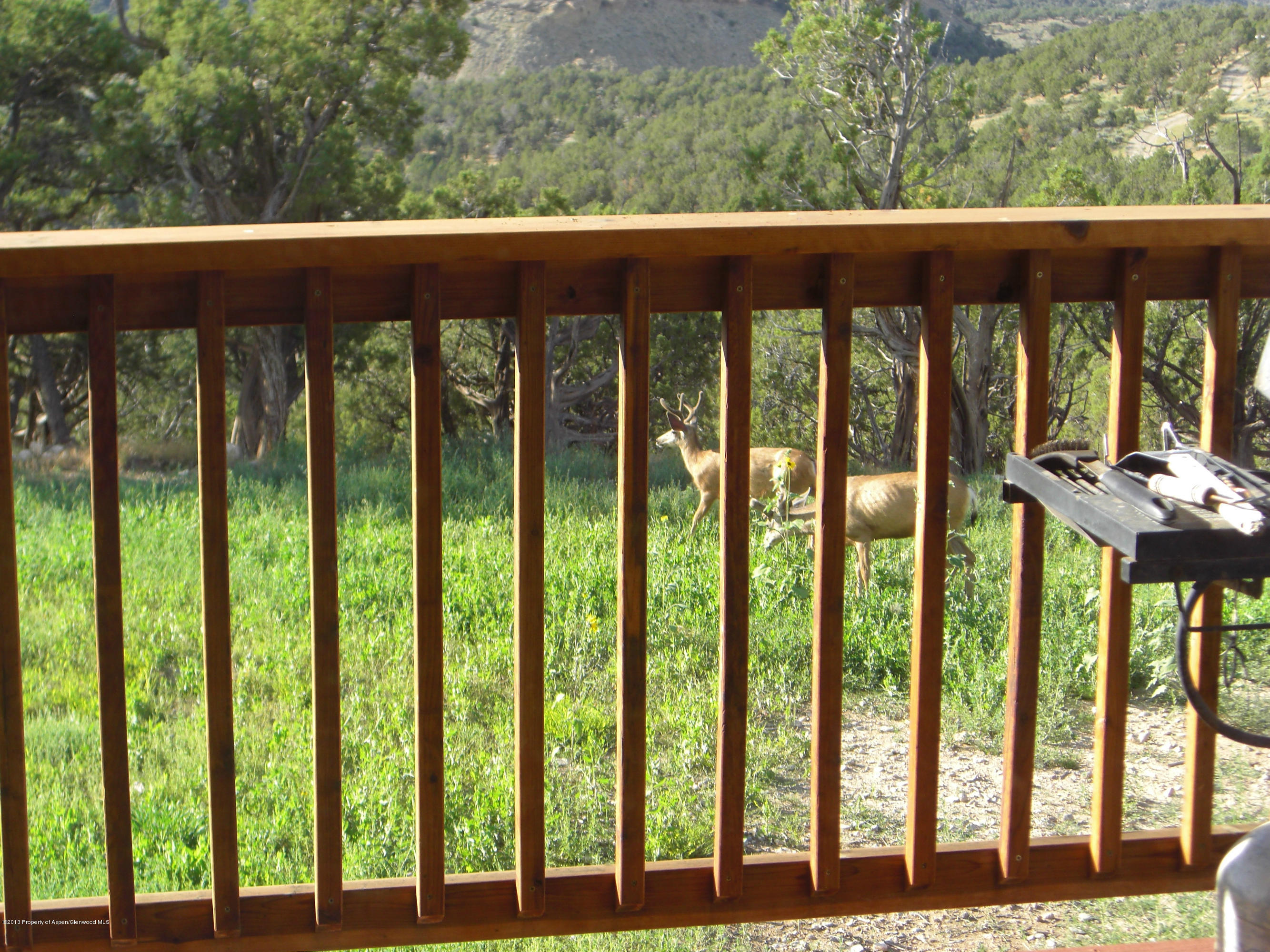 870 Cedar Springs Ranch Road Rifle, CO 81650 - Photo 34 of 37 Deck wildlife