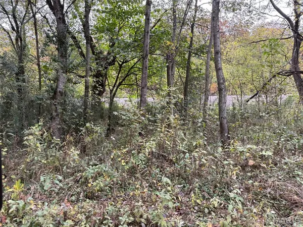 $6,000 | 1 Black River, Piedmont, MO 63957