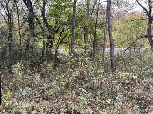 $6,000 | 1 Black River, Piedmont, MO 63957