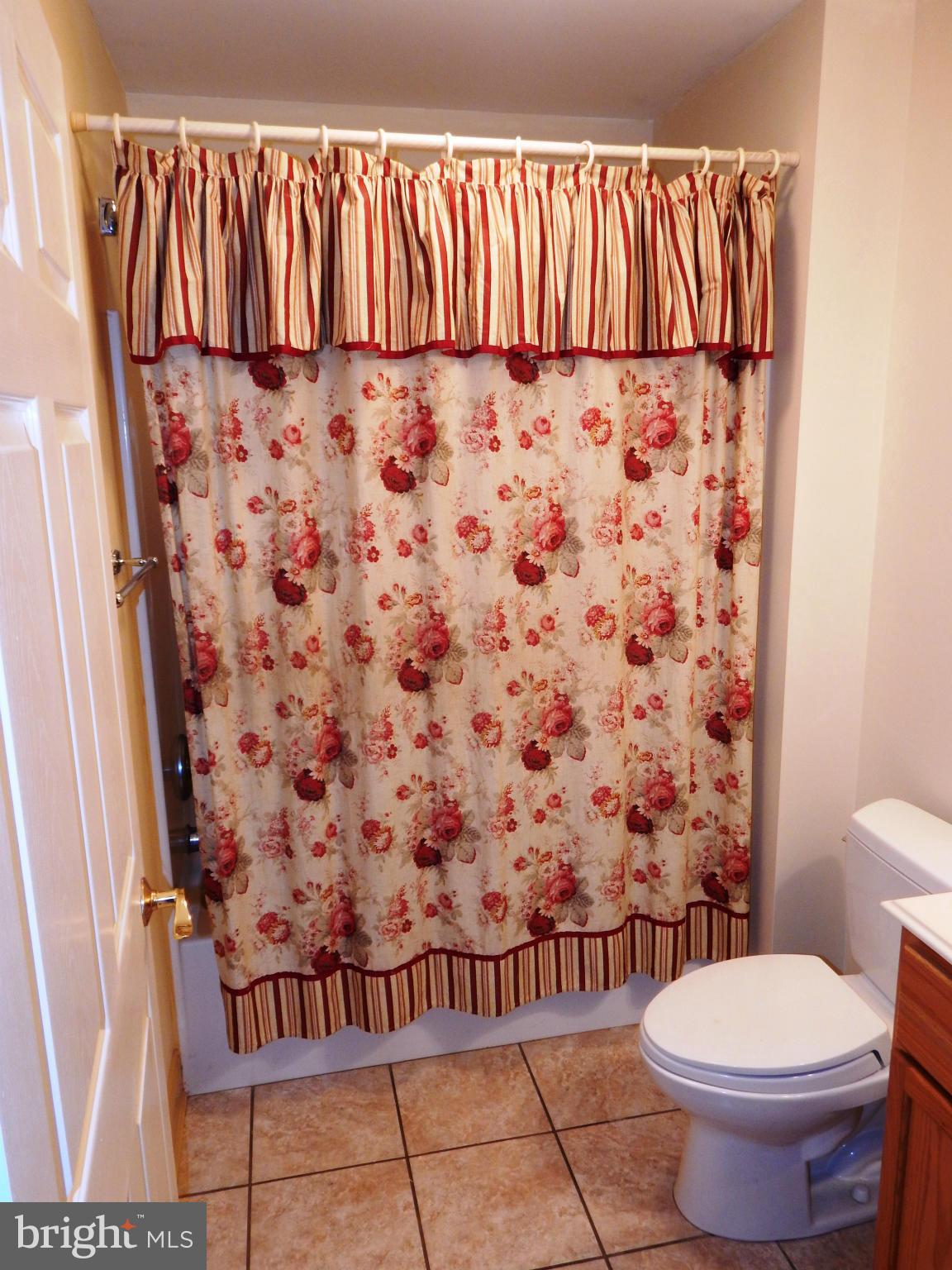 8920 Bacons Road Delmar, DE 19940 - Photo 11 of 20 Bath